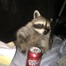 Profilbild von pikampy