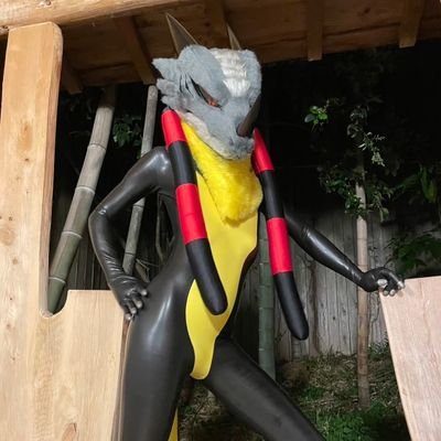 Kirityo's profile picture