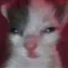 o's profile picture