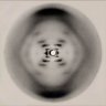 DNAternal's profile picture