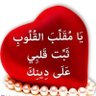 Фото профиля محمود سيف