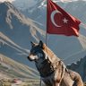 Alp's profile picture