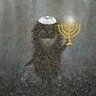 🇺🇦יוש נורשטיין🇮🇱 的头像