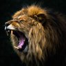 Фото профиля Un león que despertó