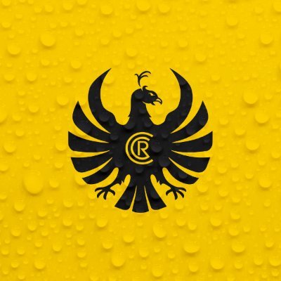DespegaImperial's profile picture