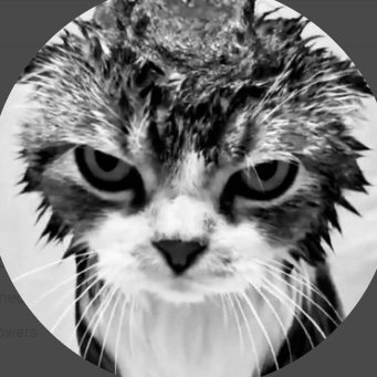 venture_charts's profile picture