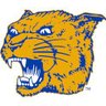 MakePittGreatAgain's profile picture