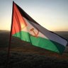 Profilbild von Muataz 🇵🇸🇿🇦