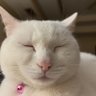 Beach Breeze's profile picture
