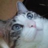 Profilbild von justrobdoinstuff