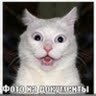 4ek's profile picture