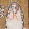 Profilbild von jajkoń