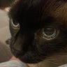 nacho_reloj's profile picture