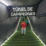 Colo-Colo es un privilegio NO una opcion 的头像