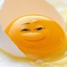 Y0LK profil fotoğrafı