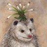 Rat in the Hat 🐀🍬🍭's profile picture