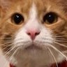 Profilbild von Eemee