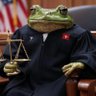 Swissburger's profile picture