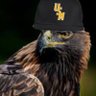 EagleDroppings's profile picture