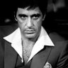 farvahar's profile picture