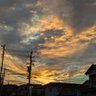Фото профиля こめつぶ