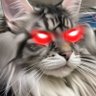 Gatorsmom 🐭🔫 profil fotoğrafı