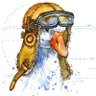 Hwonk's profile picture