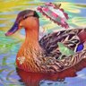 Profilbild von Miss Mallard