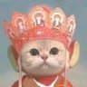 🏮Dofu the Novice🏮's profile picture