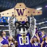 Husky the Harry's profile picture