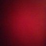 Profilbild von Roy