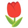 あいだ🌷 的头像