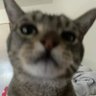 angle's profile picture