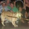 Фото профиля İT sever!!!!