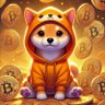 boochan 全財産BTCあとDOG🐕 的头像
