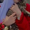 janmannem profil fotoğrafı