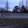 lava 的头像