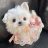 好饿好饿好饿哦哦哦's profile picture