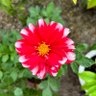 Фото профиля ジュリアン