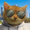 $Siriussupporter's profile picture