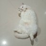 โลกหมุนมาเจอกัน's profile picture