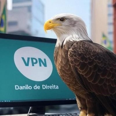 DanilodeDireita's profile picture