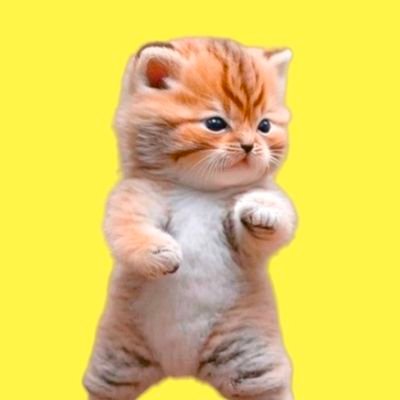 lattemalboro's profile picture