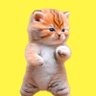 mAnGo Pailin profil fotoğrafı