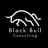 Black Bull Consulting 的头像