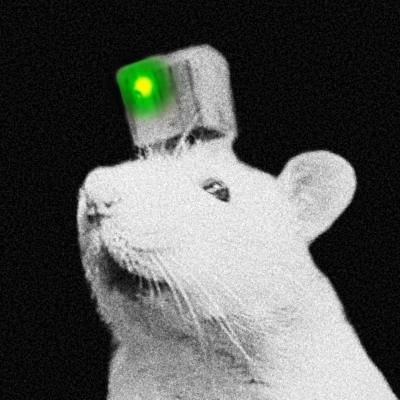 NEIRY's profile picture