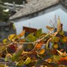 zksbakN恒 profil fotoğrafı