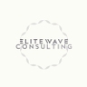 EliteWave Consulting profil fotoğrafı