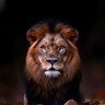 Фото профиля Michelle Kling