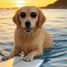 Profilbild von Bob in SoCal
